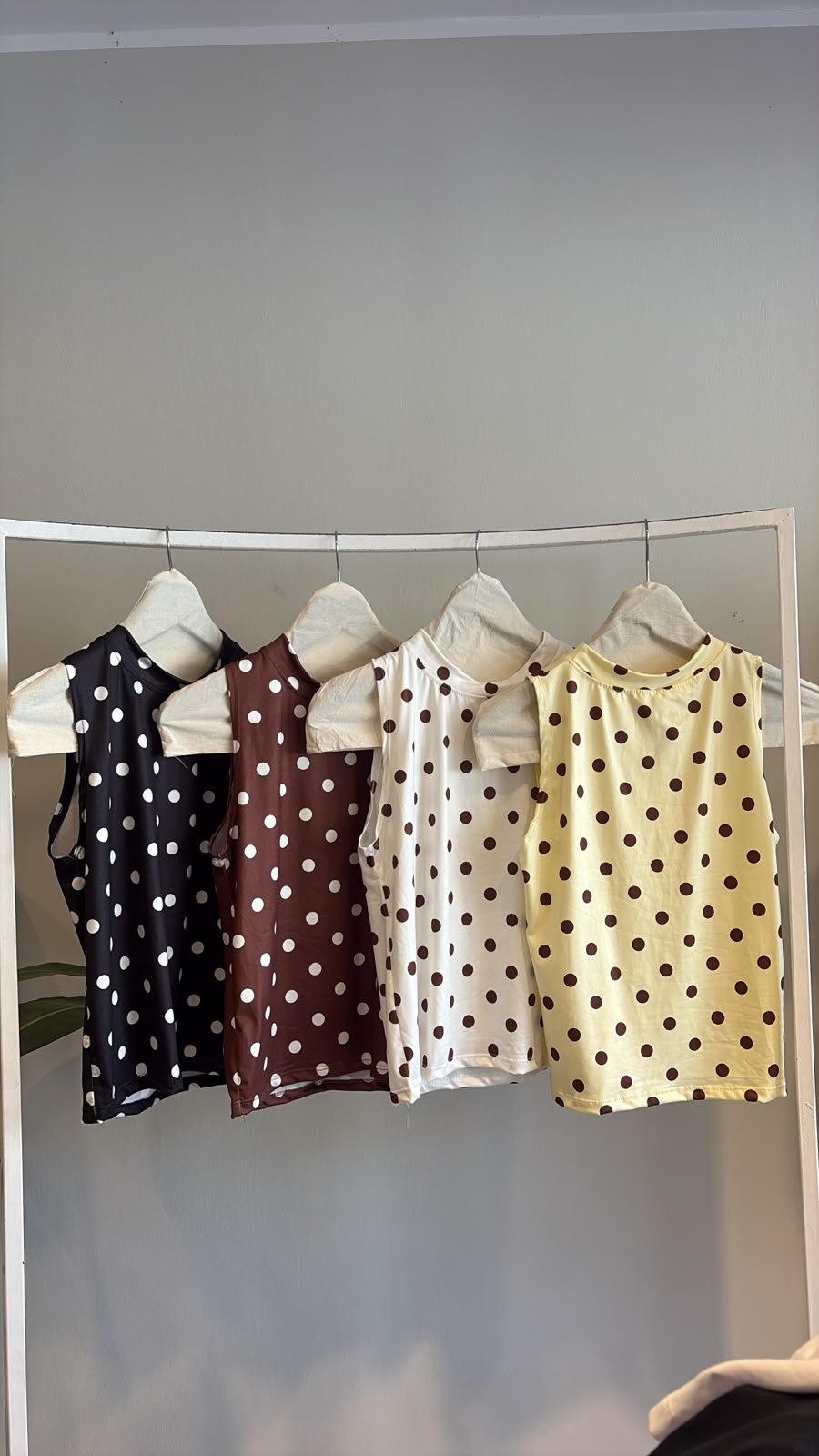 musculosa lunares